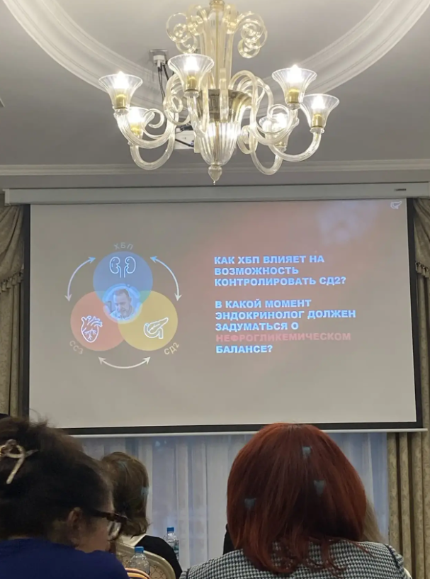 Димитриу София Акоповна на Интерактивном круглом столе «Симфония кардиоренальной защиты»